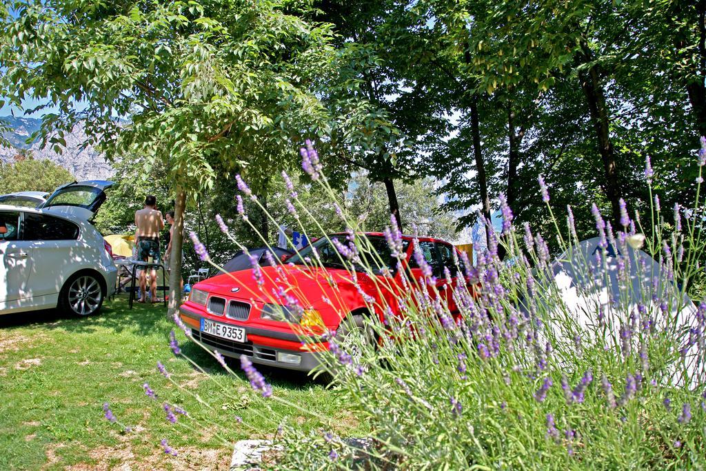Camping Alpino - Nature Village Malcesine Ngoại thất bức ảnh